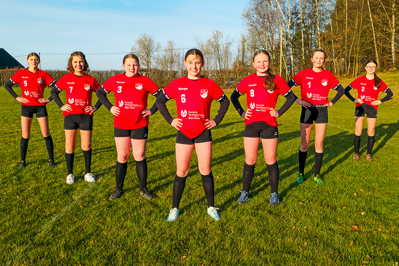 HP TV Hallerstein 300dpi 1920 x 1280px